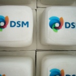Mini Cake Logo DSM Bright