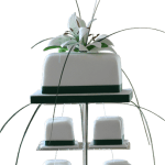 Mini Cakes Lily Top Tier - Kimboscakes Mini Cakes Lily Top Tier